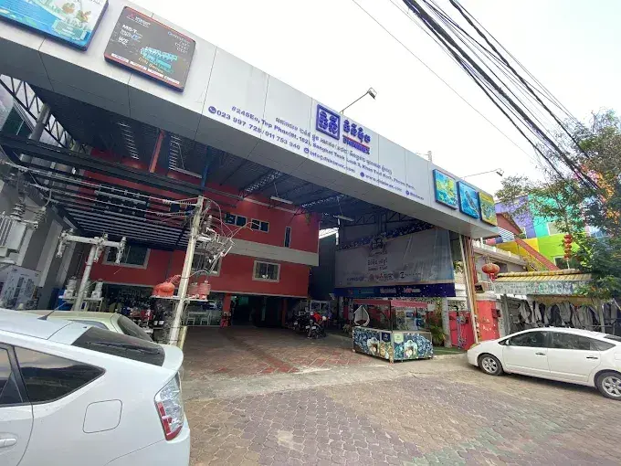 Where Dhinimex Started